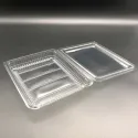 Envases Loncheados con Tapa  H27 Grande PET Transparentes