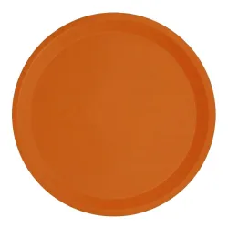 Platos Naranjas de Cartón Biodegradables 20,5cm