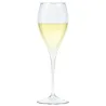 Copas Cava Pinot Reutilizables Plástico Duro Tritán 180ml (12 Uds)