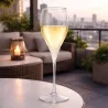 Copas Cava Pinot Reutilizables Plástico Duro Tritán 180ml (12 Uds)