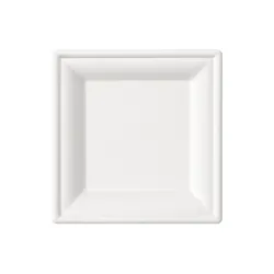 Platos Biodegradables Caña de Azúcar Cuadrados 16X16cm