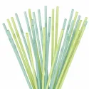 Pajitas Biodegradables de 24cm Flexibles Verdes y Ecológicas
