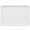 Bandejas de Cartón Rectangular 25x34cm Blancas