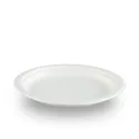 Platos Biodegradables Caña de Azúcar 17cm
